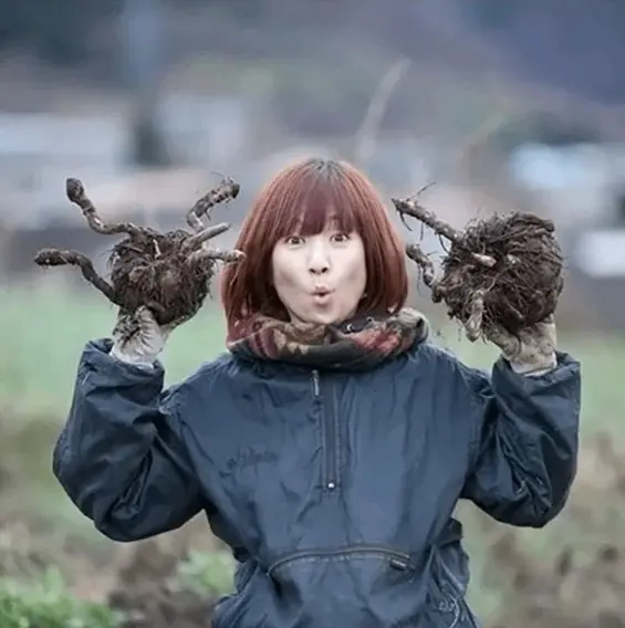 語り 遠藤春奈